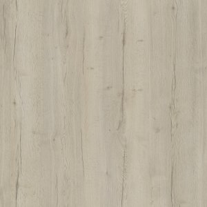 Halifax hrast bijeli